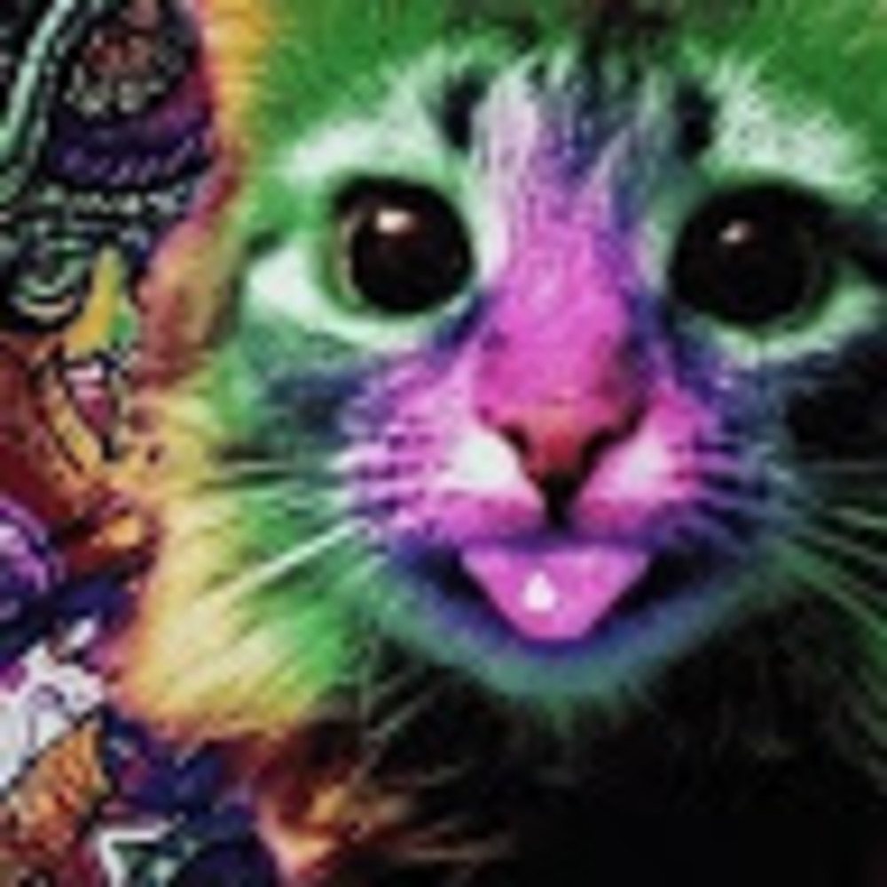 Meet your Posher, Funnykorries